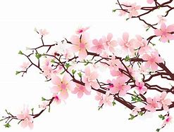 Image result for Free Print Cherry Blossom Clip Art