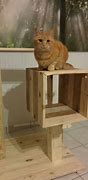 Image result for Pallet Cat Tree