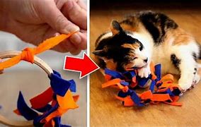 Image result for DIY Cat Toys Simple