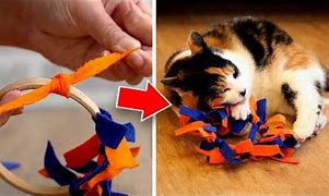 Image result for Easy DIY Cat Toys