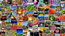 Image result for Images of What People Collect