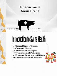 Image result for Diseases of Swine Book