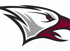 Image result for NCCU Eagle PNG