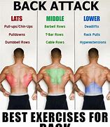 Image result for Back Workout Program