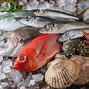 Image result for Seafood Mart