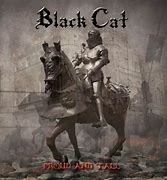 Image result for Proud Black Cat