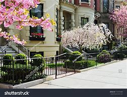 Image result for Back Bay Flowers