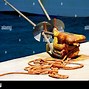 Image result for Mooring Lines for Ships