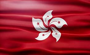 Image result for Hong Kong Flag Rectangular