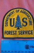 Image result for Forest Service Patch Outline