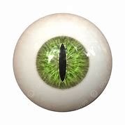 Image result for White Eye Texture