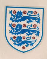 Image result for 3 Lions Badge