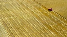 Image result for Arable Farming