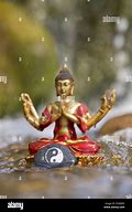 Image result for Buddha Yin Yang