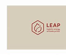 Image result for Branding Leap Logo Design