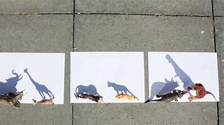 Image result for Animal Shadow Drawing