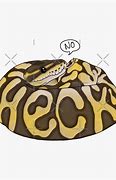 Image result for Heck No