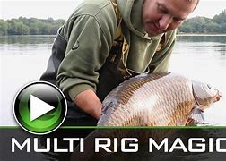 Image result for Multi-Rig Carp