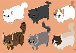 Image result for Sausage Cat Drawing