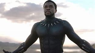 Image result for Black Panther Fight