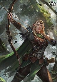 Image result for Male Wood Elf Monk