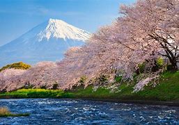 Image result for Mont Fuji Japon