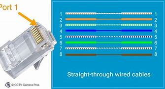 Image result for Cat 5 Ethernet Cable