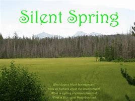 Image result for Silent Spring Themes