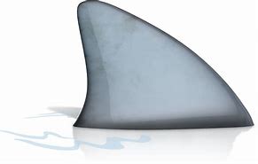 Image result for Shark Fin Clip Art PNG