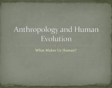 Image result for Anthropology Human Evolution