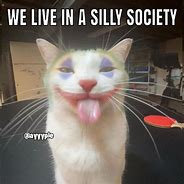 Image result for Cat Smiling Meme Silly