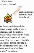 Image result for Biomass Energy Kids