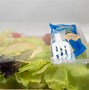 Image result for Beautiful Salad Packaging Idea