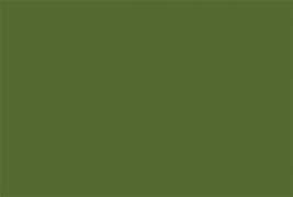 Image result for Verge Olive Green