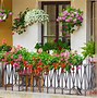 Image result for Outdoor Patio Veranda