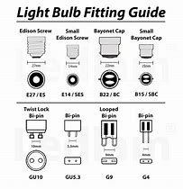 Image result for Biobase Bulb