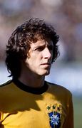 Image result for Dirceu Montani