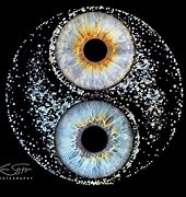 Image result for Eye Glimpse Photography