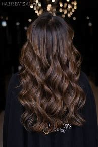 Image result for Dark Chestnut Brown