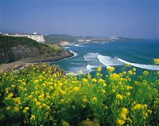 Image result for Jeju Island Tourist Spot