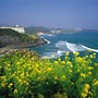 Image result for Jeju Island Korea 4K