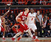 Image result for Badgers in Indiana