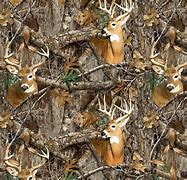 Image result for Realtree Camo Deer