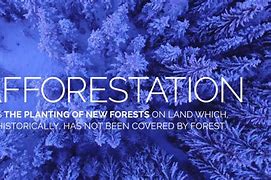 Image result for Afforestation