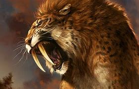 Image result for Sabertooth Tiger Prey