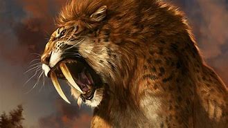 Image result for Sabertooth Tiger Fire