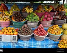 Image result for Exotic Fruit Farm