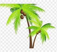 Image result for Gambar Pohon Kelapa Tua