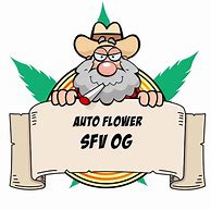 Image result for SFV OG Logo