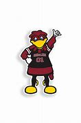 Image result for Cocky Mascot